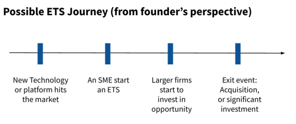 milestones of an Emerging tech services business