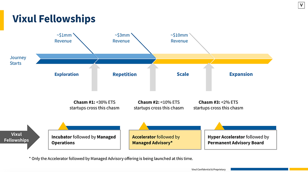 Vixul fellowships